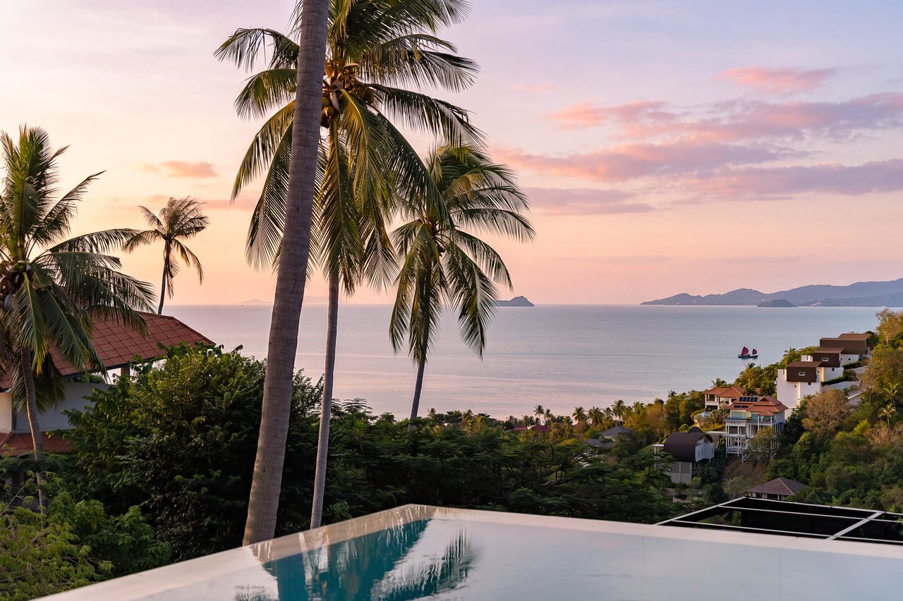 Palm trees and the bay at sunset over the pool edge